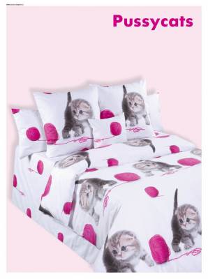 Дизайн Pussycats