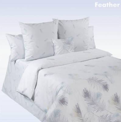 Дизайн Feather
