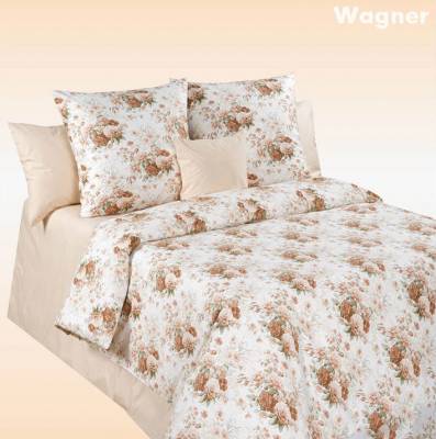 Дизайн Wagner