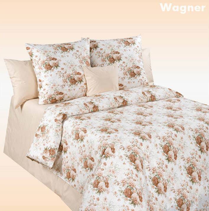 Дизайн Wagner