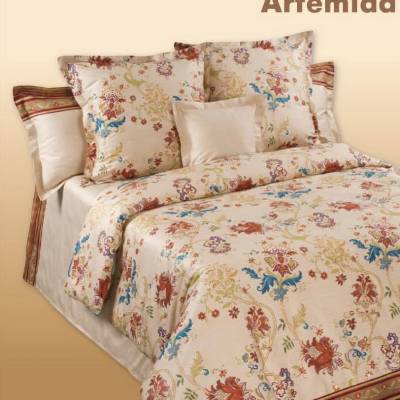 Дизайн Artemida
