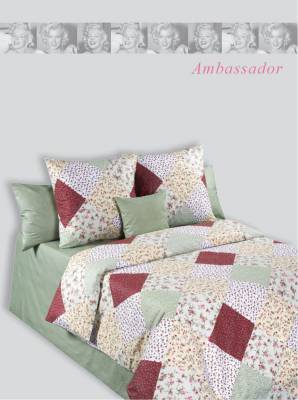 Дизайн Ambassador 