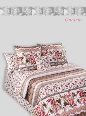 Дизайн Ontario